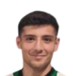 https://img.bjdingyan.org/img/football/player/b029a46630b5208d2764df020cd5d1df.png