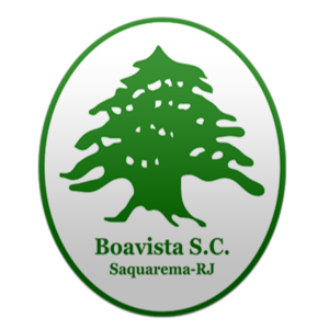 https://img.bjdingyan.org/img/football/team/0eaa85d1b60c7cbc4a0096794a325b0f.png