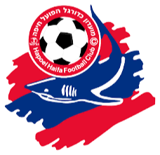 https://img.bjdingyan.org/img/football/team/43ab9c4207bd91f7f836a60f06f6a761.png